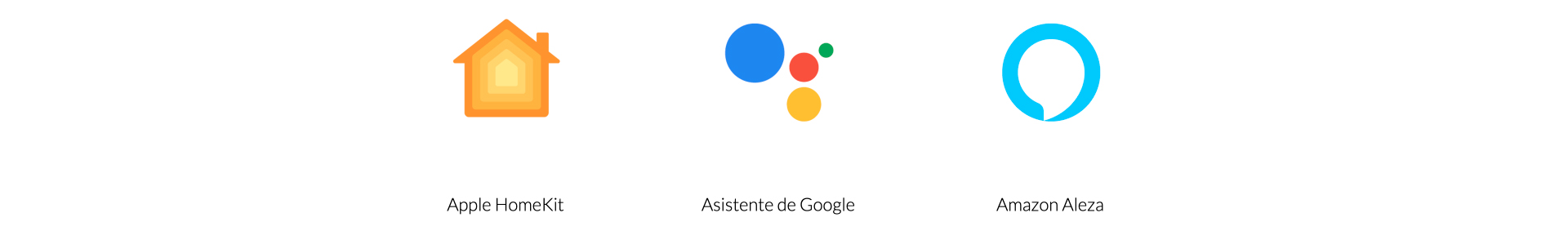 04 asistentes blog
